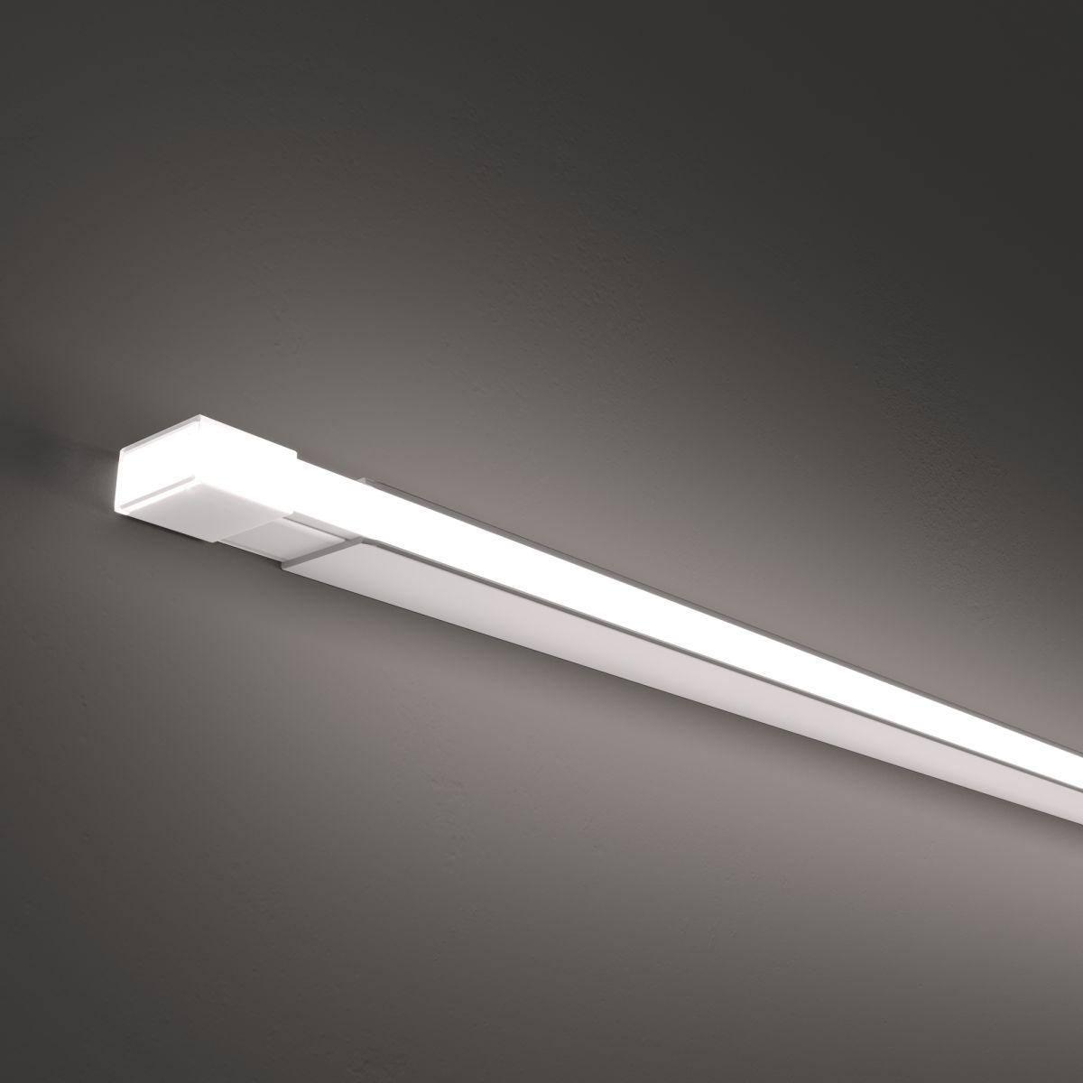 Гибкий неон Maytoni Led strip 24В 10Вт/м 6000K 5м IP67 432031 432031 - магазин электротехники Electroshop