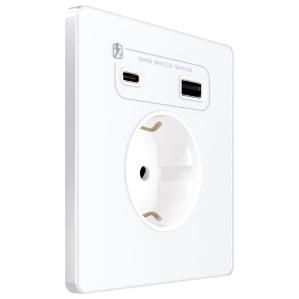 Зарядка USB с розеткой 2P+E со шторками Infinity 16A тип-А и тип-C 20Вт арктический лед Systeme Electric FSE000132 FSE000132 - магазин электротехники Electroshop