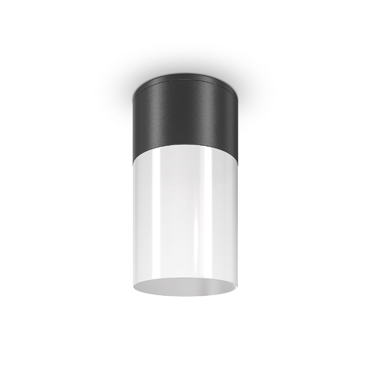 Уличный потолочный светильник Maytoni Willis O418CL-01B O418CL-01B - магазин электротехники Electroshop