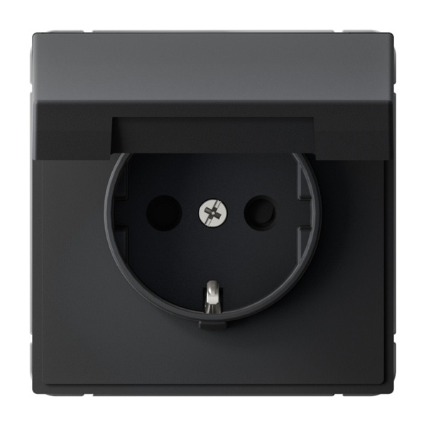Розетка с заземлением со шторками и крышкой IP20 16А ArtGallery карбон Systeme Electric GAL001046 GAL001046 - магазин электротехники Electroshop