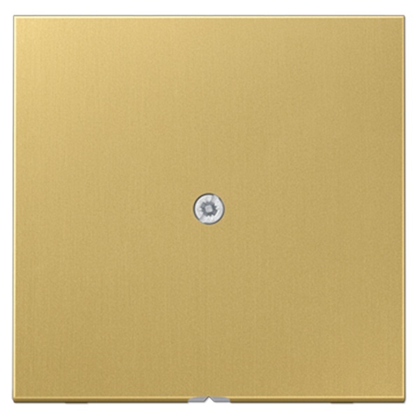 Вывод кабеля Jung LS Латунь Classic  ME2990AC ME2990AC - магазин электротехники Electroshop
