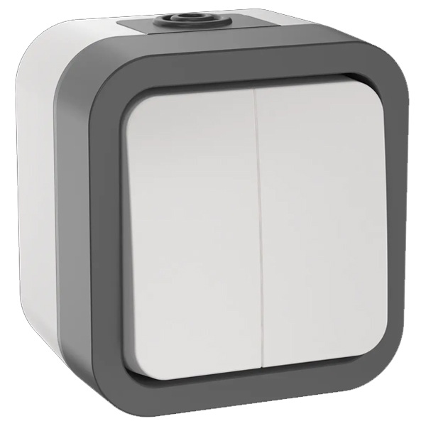 Выключатель 2-клавишный TORS TS205 10А IP55 белый IEK TS-V20-0-10-55-K41 TS-V20-0-10-55-K41 - магазин электротехники Electroshop