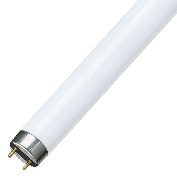 Люминесцентная лампа OSRAM-СМ L36W/765 G13 d26x1200mm 2500lm 6500K 4008321959836 4008321959836 - магазин электротехники Electroshop