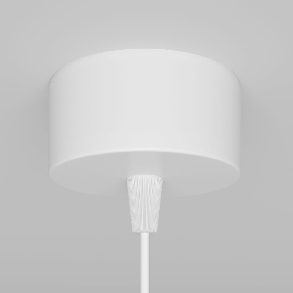 Подвесной светильник Maytoni Technical Focus P075PL-01W P075PL-01W - магазин электротехники Electroshop