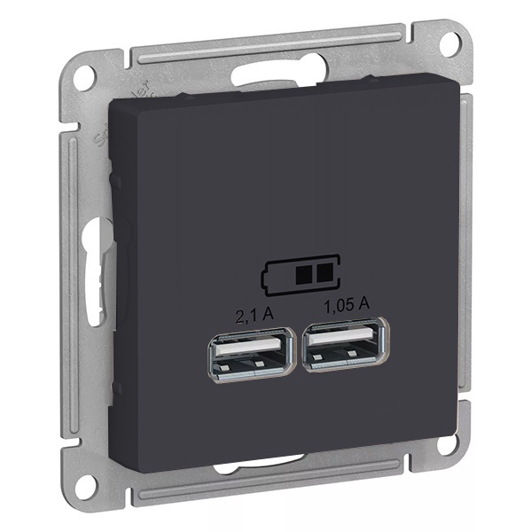 Зарядка USB 5В, 1 порт x 2,1 А, 2 порта х 1,05 А, AtlasDesign карбон Systeme Electric ATN001033 ATN001033 - магазин электротехники Electroshop