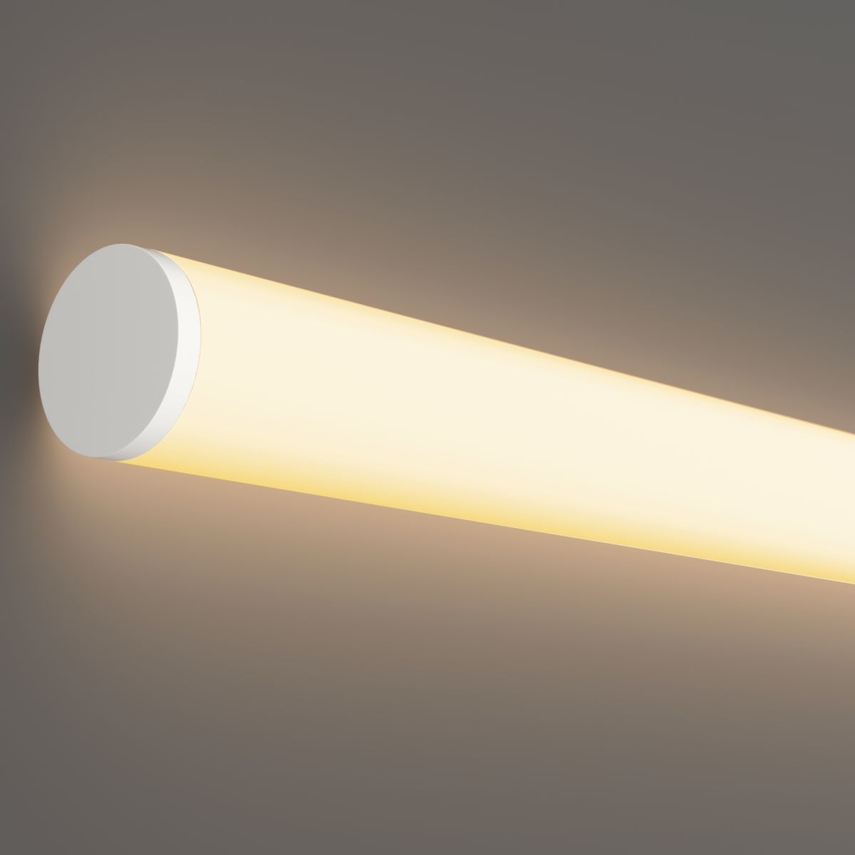 Гибкий неон Maytoni Led Strip Nemo D25 48В 12,5Вт/м 3000К IP65 20м 433001 - магазин электротехники Electroshop
