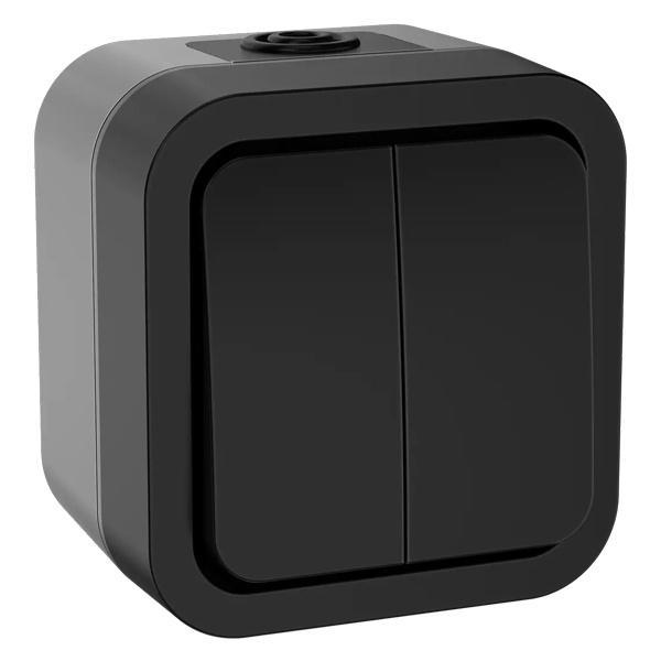 Выключатель 2-клавишный TORS TS105 10А IP55 графит IEK TS-V20-0-10-55-K53 TS-V20-0-10-55-K53 - магазин электротехники Electroshop
