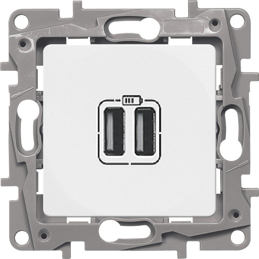 Зарядное устройство с двумя USB-разъемами тип А-A Legrand Etika 240В/5В 2400мА белый 672294 672294 - магазин электротехники Electroshop