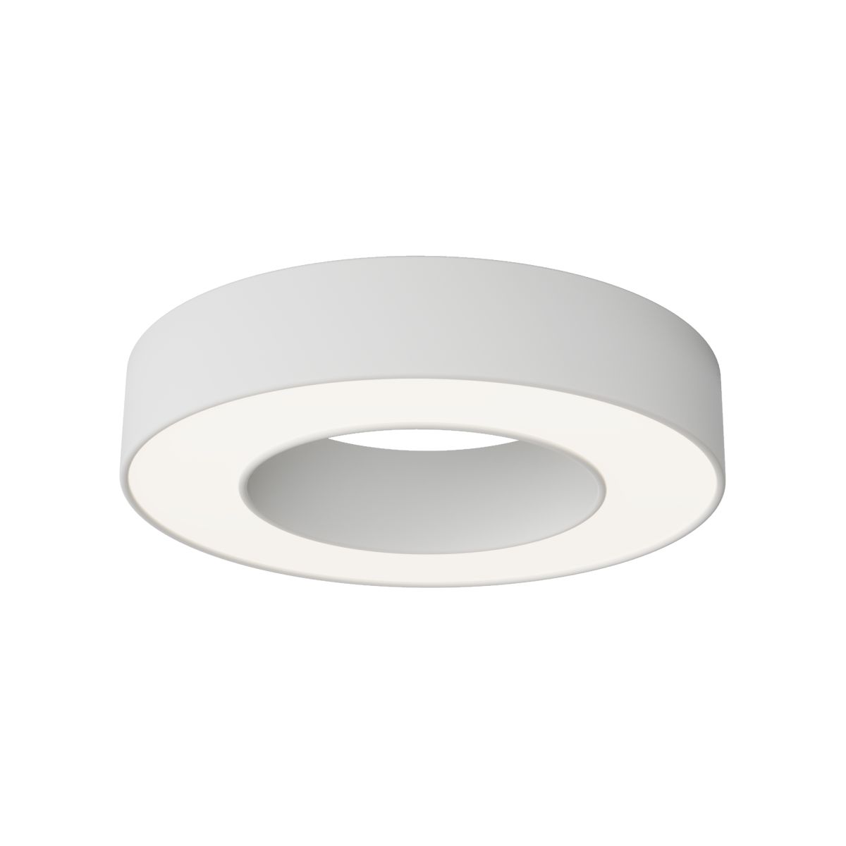 Потолочный светильник Maytoni Technical Lua C093CL-24W4K-W C093CL-24W4K-W - магазин электротехники Electroshop