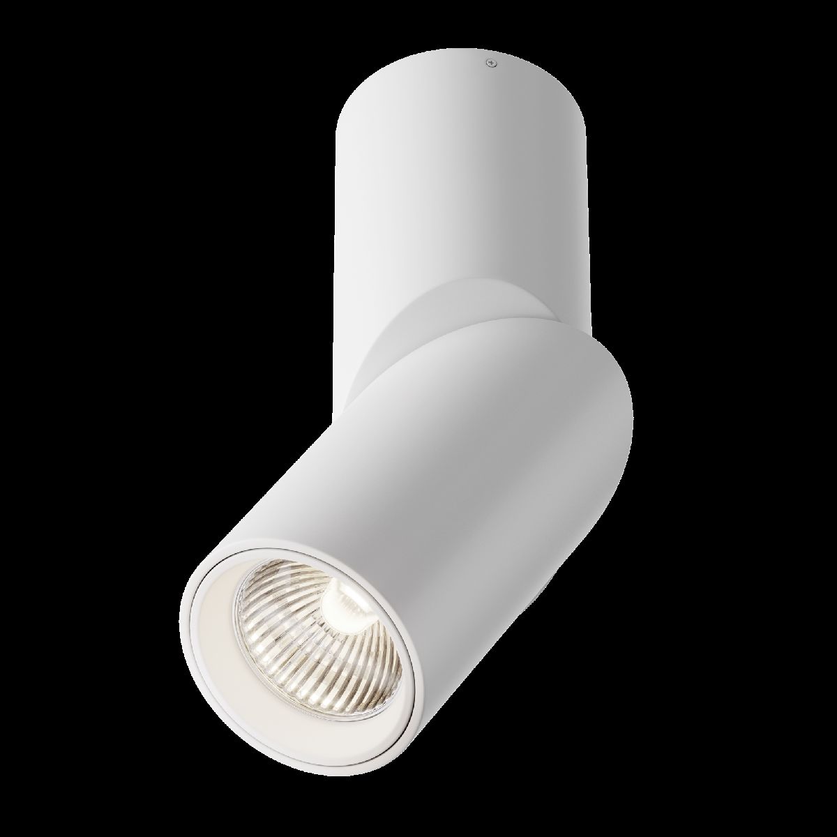 Накладной спот Maytoni Dafne C027CL-L10W4K C027CL-L10W4K - магазин электротехники Electroshop