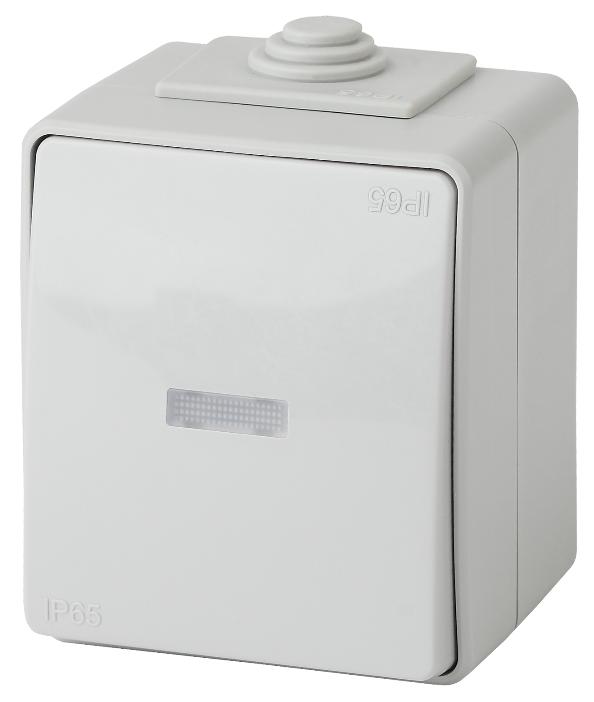 Переключатель с подсветкой IP65 10АХ-250В открытой установки Эра Эксперт серый 11-1610-03 Б0035981 Б0035981 - магазин электротехники Electroshop