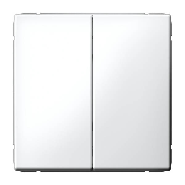 Двухклавишная кнопка без фиксации ArtGallery 10А лотос Systeme Electric GAL001317 GAL001317 - магазин электротехники Electroshop