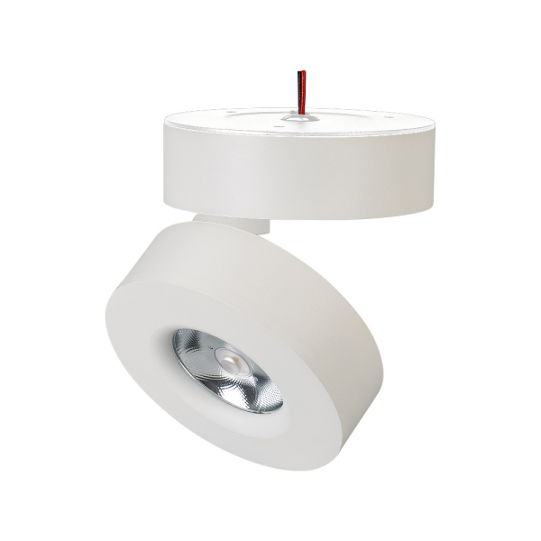 Спот Arlight SP-Mona-Surface-R100-12W Day4000 025439(1) 025439(1) - магазин электротехники Electroshop
