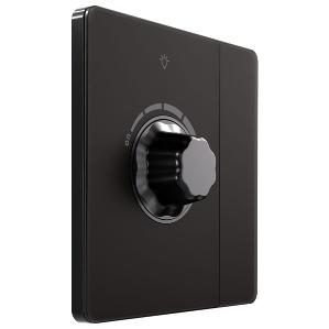 Светорегулятор TRIAC с выключателем FSE001089Infinity 300Вт полярная ночь Systeme Electric FSE001021 FSE001021 - магазин электротехники Electroshop