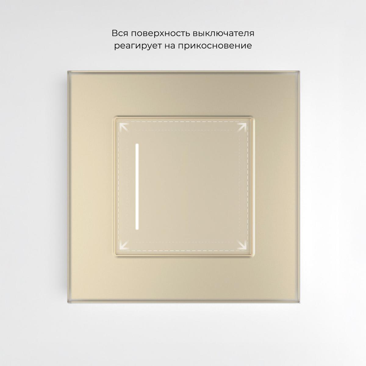Умный сенсорный выключатель одноклавишный Werkel 4690389197925 W4513011 a064145 4690389197925 - магазин электротехники Electroshop