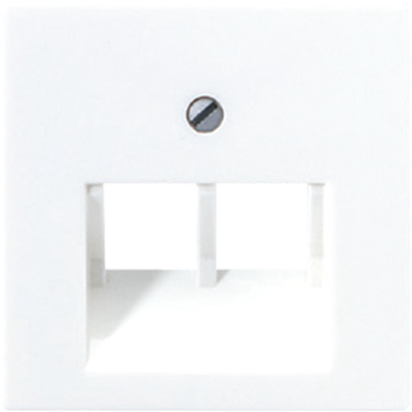 Накладка 2-ая компьютерной/телефонной RJ45/RJ11 розетки JUNG A569-2BFPLUAWW A569-2BFPLUAWW - магазин электротехники Electroshop