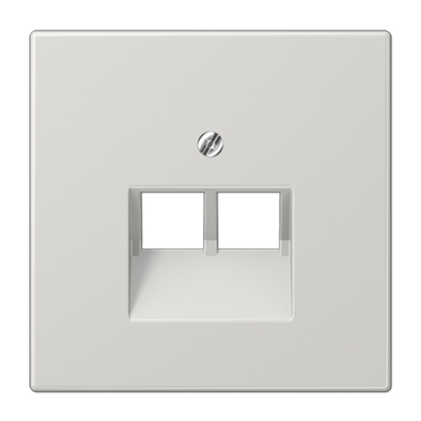 Накладка 2-ая Jung LS компьютерной/телефонной RJ45/RJ11 розетки наклонная Светло-серый LS969-2UALG LS969-2UALG - магазин электротехники Electroshop