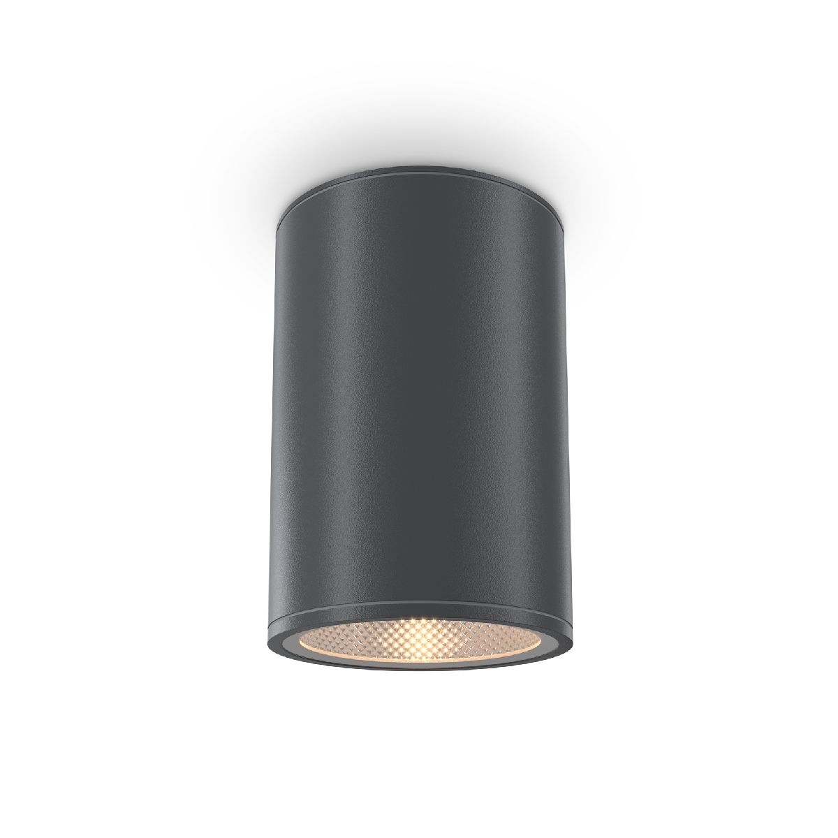 Уличный потолочный светильник Maytoni Bar O306CL-L12GF O306CL-L12GF - магазин электротехники Electroshop
