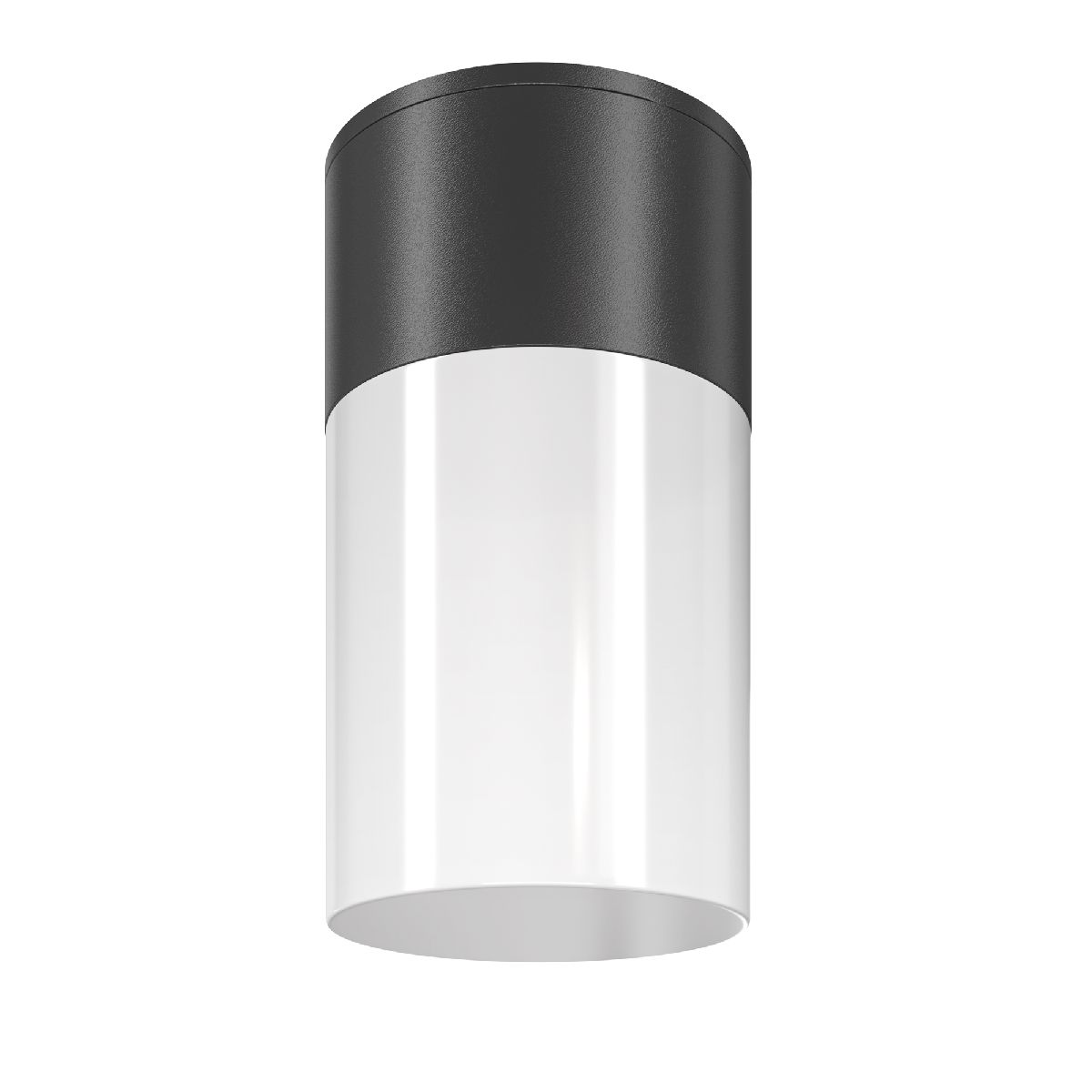 Уличный потолочный светильник Maytoni Willis O418CL-01B O418CL-01B - магазин электротехники Electroshop