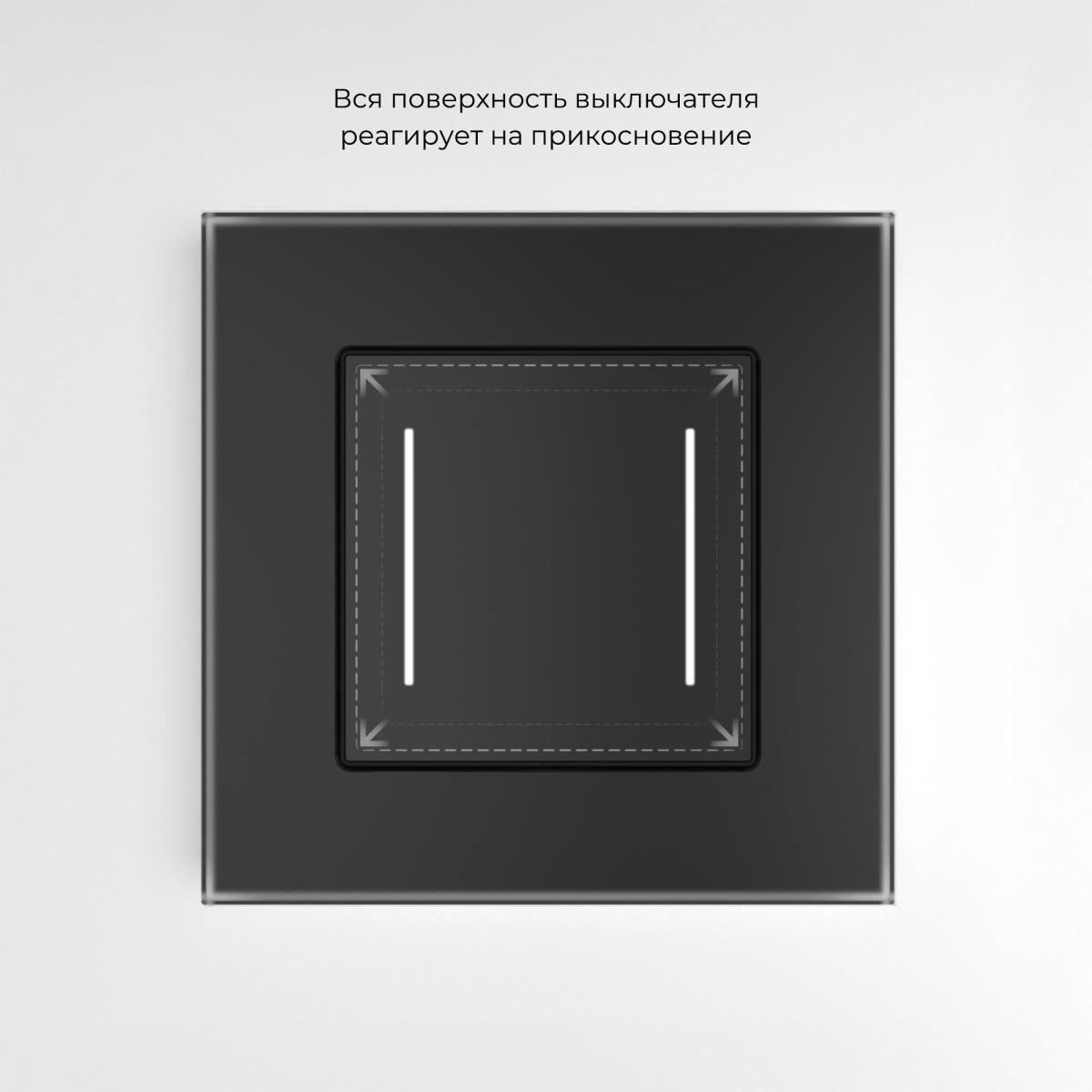 Умный сенсорный выключатель двухклавишный Werkel 4690389197963 W4523008 a064142 4690389197963 - магазин электротехники Electroshop