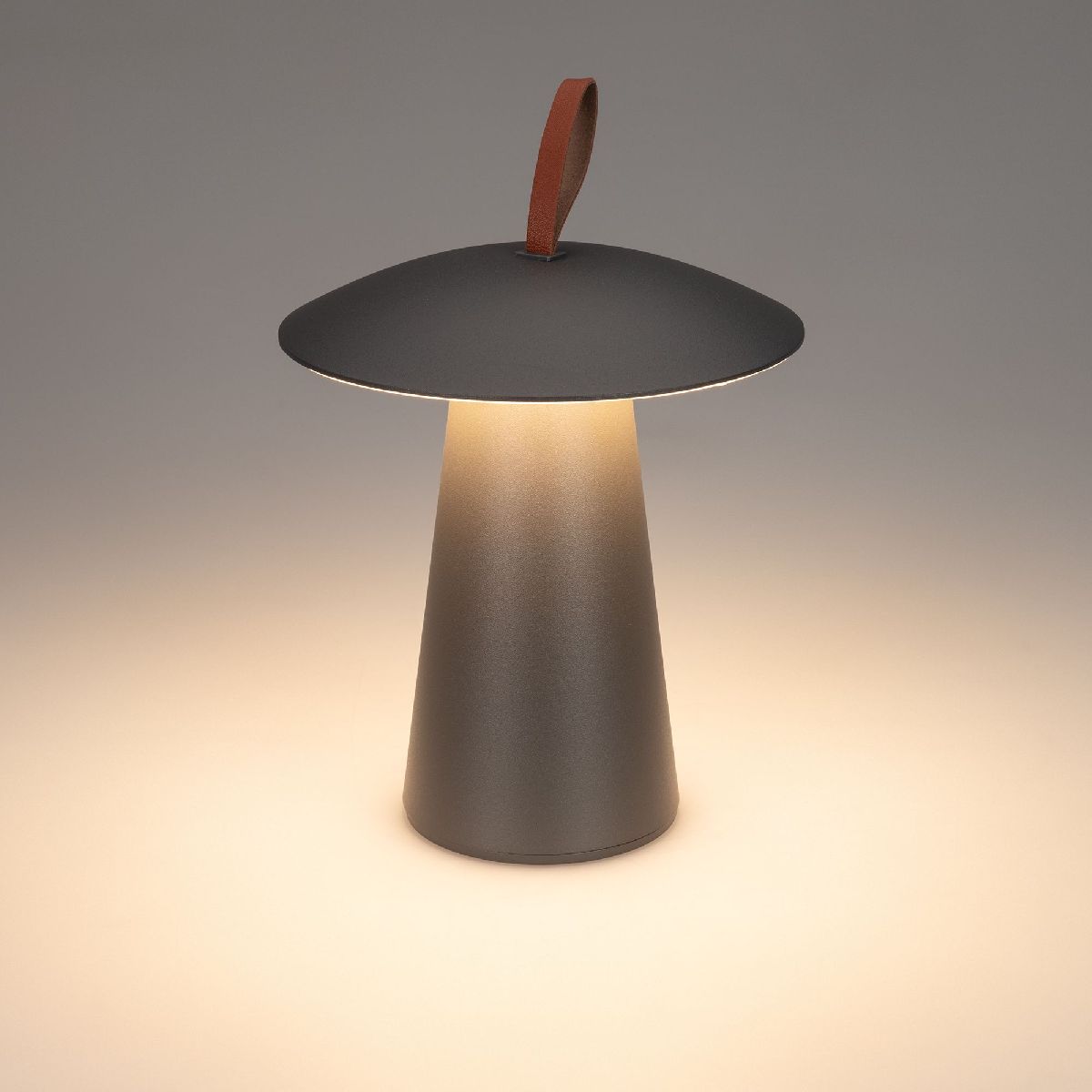 Уличная настольная лампа Arlight SP-PATIO-TAB-2W Warm3000 (BK, 127 deg) 043587 043587 - магазин электротехники Electroshop