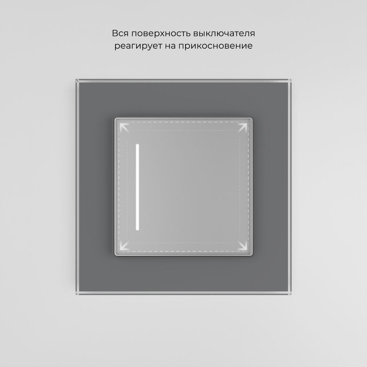 Сенсорный выключатель одноклавишный с подсветкой Werkel 4690389197987 W4512006 a063599 4690389197987 - магазин электротехники Electroshop