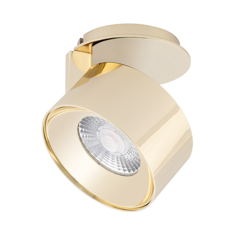 Точечный светильник Arlight Plurio-Lamp-R77-9W Day4000 030256 030256 - магазин электротехники Electroshop