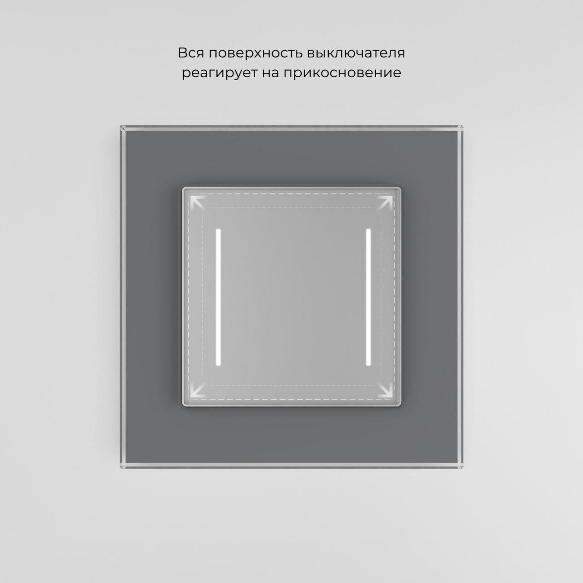 Умный сенсорный выключатель двухклавишный Werkel 4690389197956 W4523006 a064144 4690389197956 - магазин электротехники Electroshop