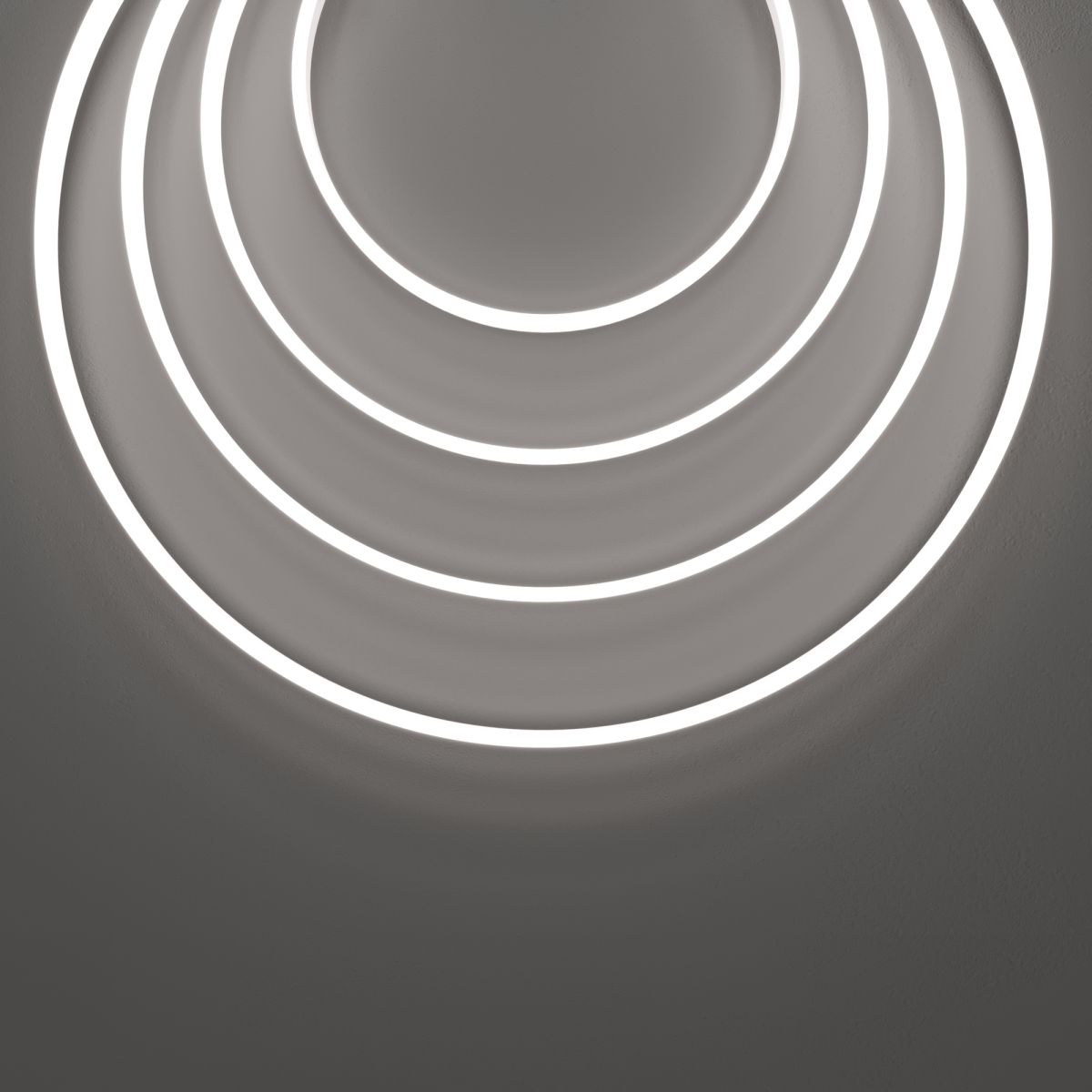 Гибкий неон Maytoni Led strip 24В 10Вт/м 6000K 5м IP67 432031 432031 - магазин электротехники Electroshop