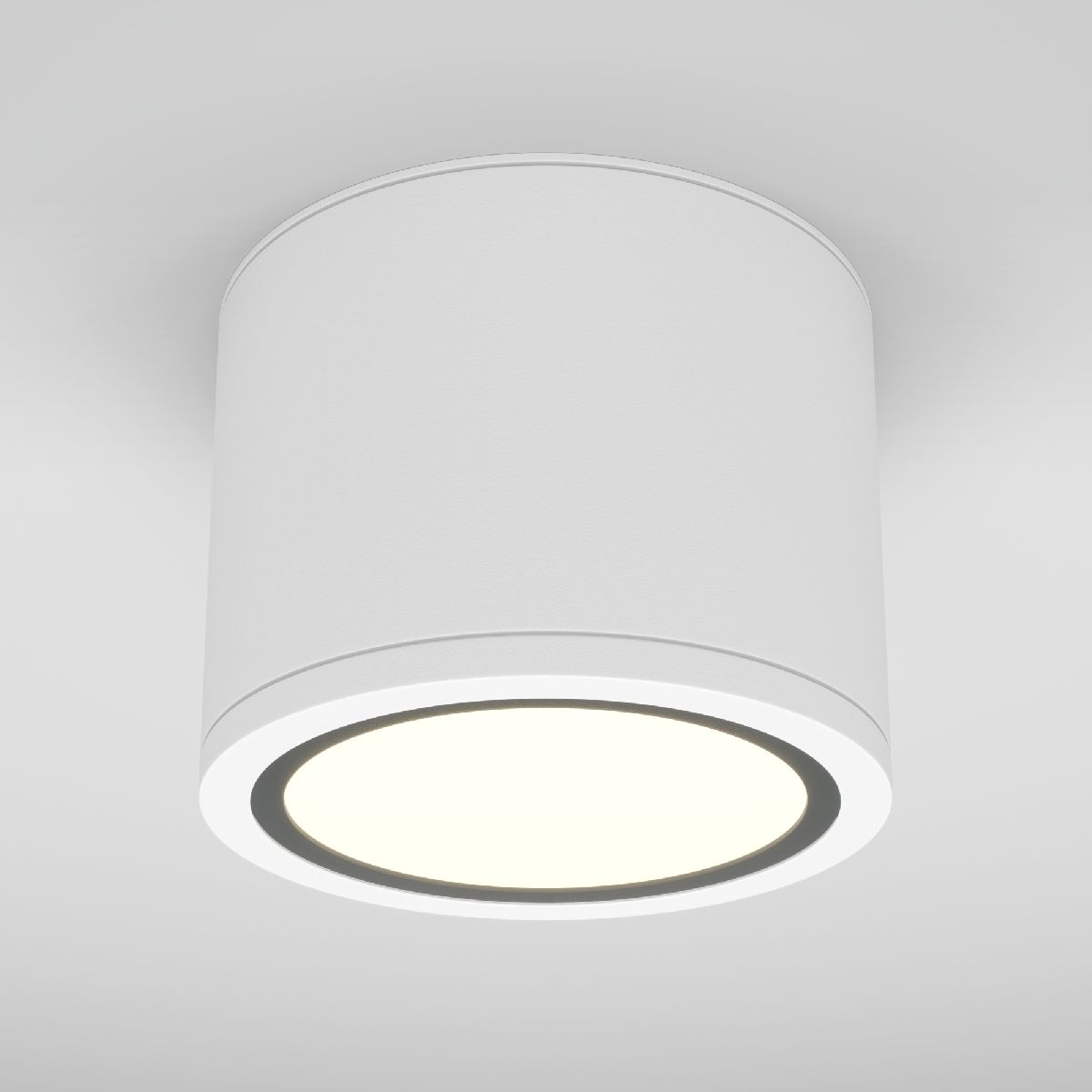 Накладной светильник Maytoni Rendo C095CL-GX53-W C095CL-GX53-W - магазин электротехники Electroshop