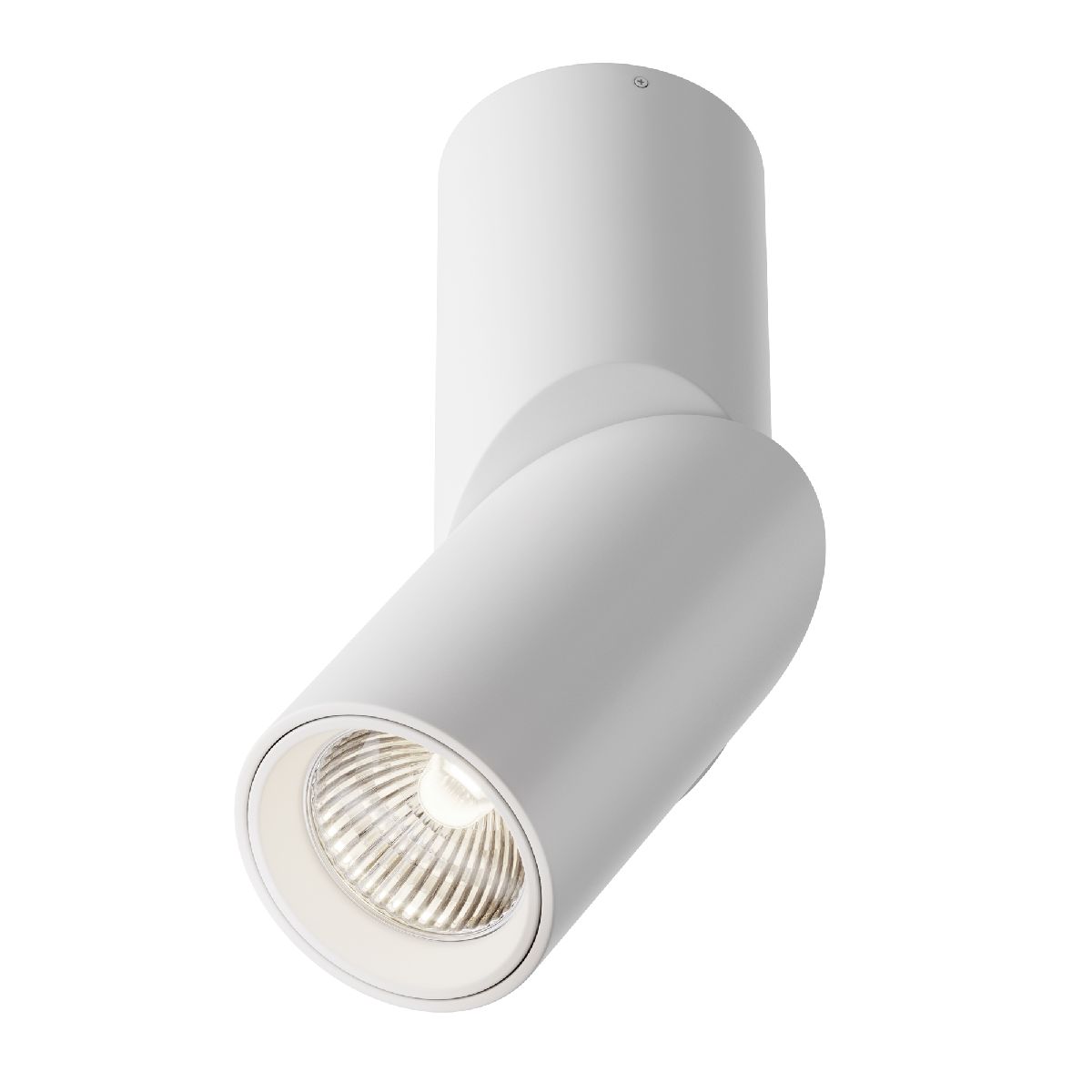 Накладной спот Maytoni Dafne C027CL-L10W4K C027CL-L10W4K - магазин электротехники Electroshop