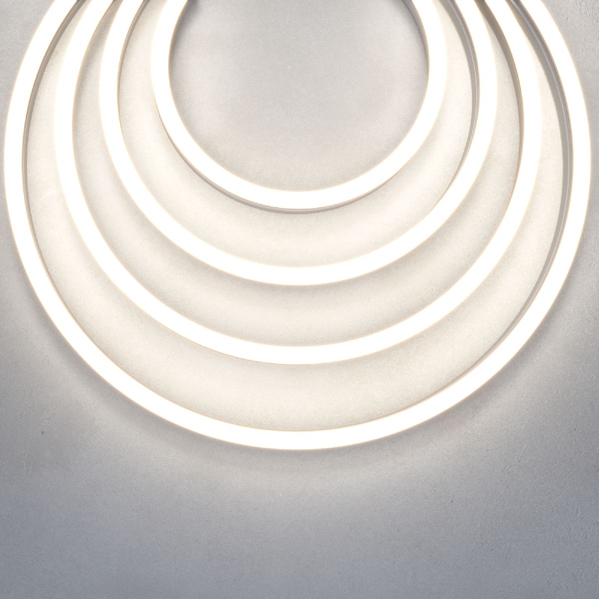Гибкий неон Maytoni 24В 9,6Вт/м 4000K 5м IP67 200481 200481 - магазин электротехники Electroshop