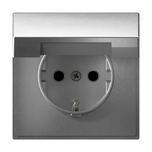 Розетка с заземлением со шторками и крышкой IP20 16А ArtGallery алюминий Systeme Electric GAL000346 GAL000346 - магазин электротехники Electroshop