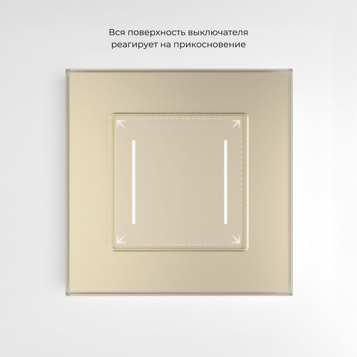 Сенсорный выключатель двухклавишный с подсветкой Werkel 4690389198069 W4522011 a063604 4690389198069 - магазин электротехники Electroshop