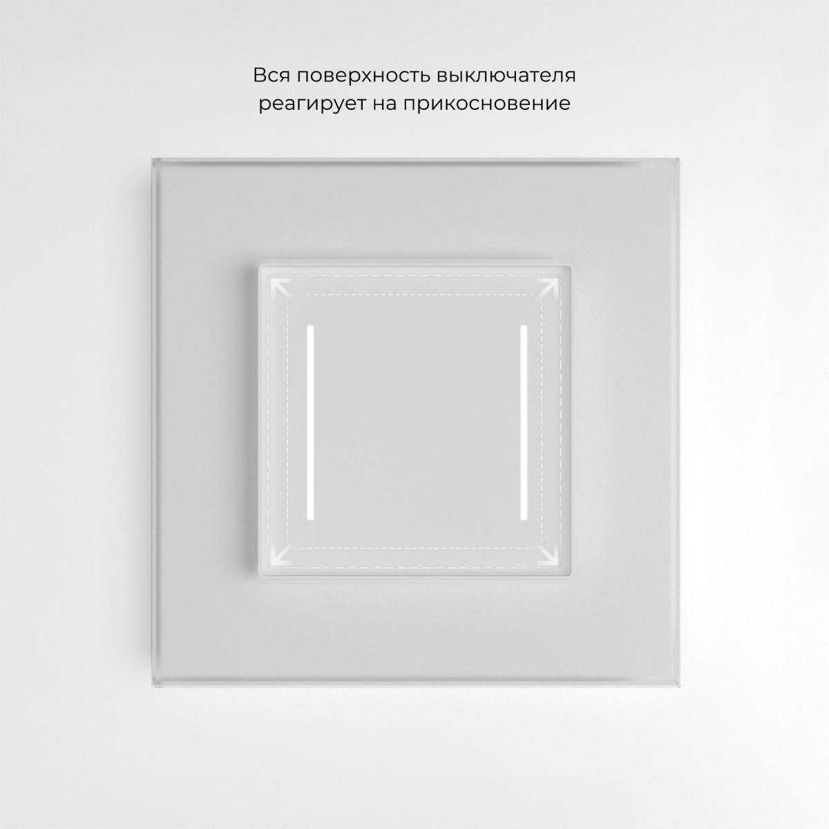 Сенсорный выключатель двухклавишный с подсветкой Werkel 4690389198021 W4522001 a063598 4690389198021 - магазин электротехники Electroshop