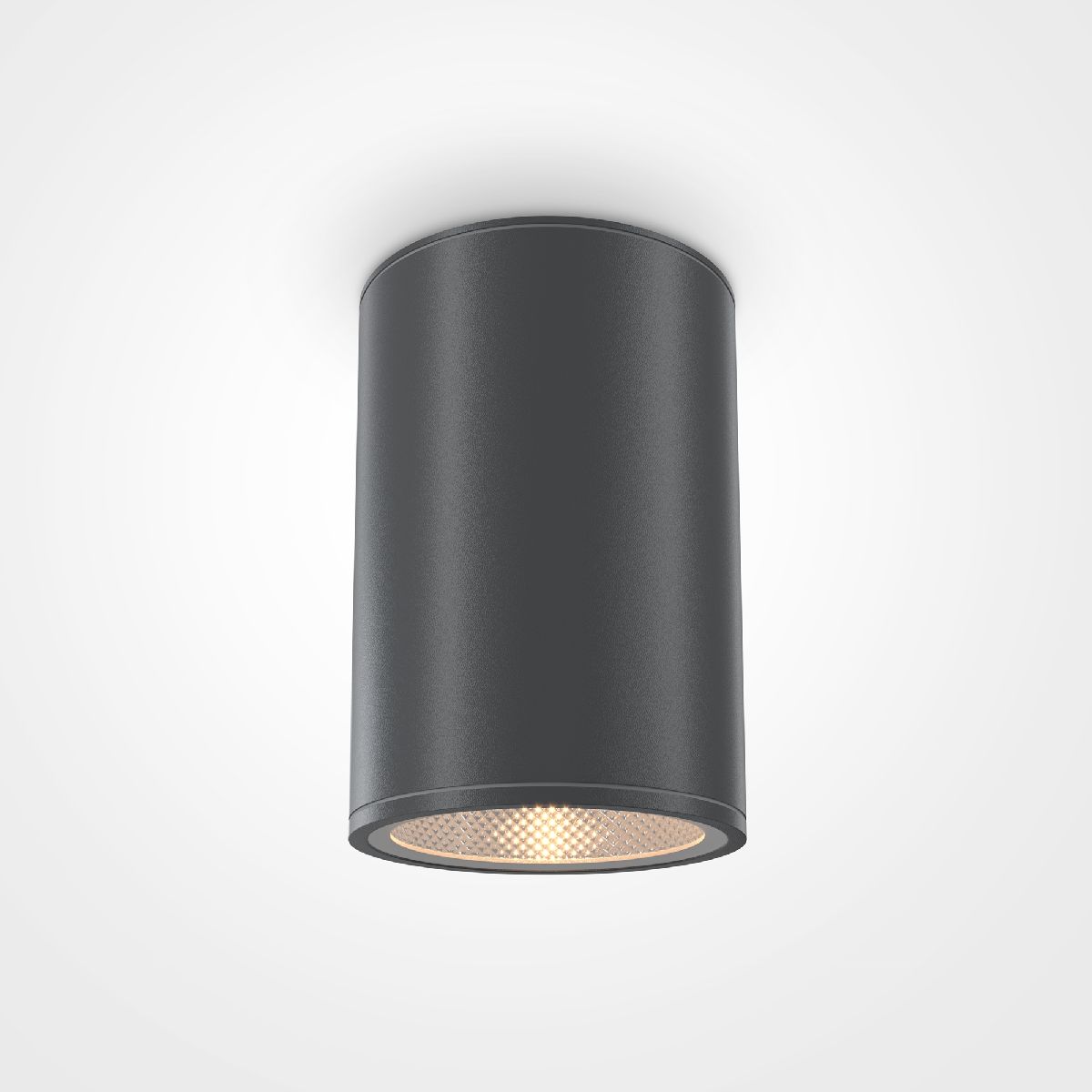 Уличный потолочный светильник Maytoni Bar O306CL-L12GF O306CL-L12GF - магазин электротехники Electroshop
