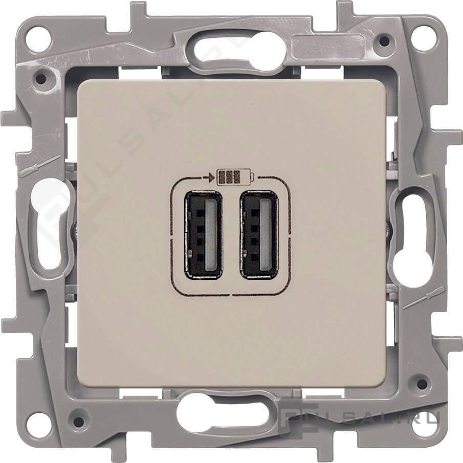 Зарядное устройство с двумя USB-разъемами тип А-A Legrand Etika 240В/5В 2400мА слоновая кость (бежевый)  672394 672394 - магазин электротехники Electroshop
