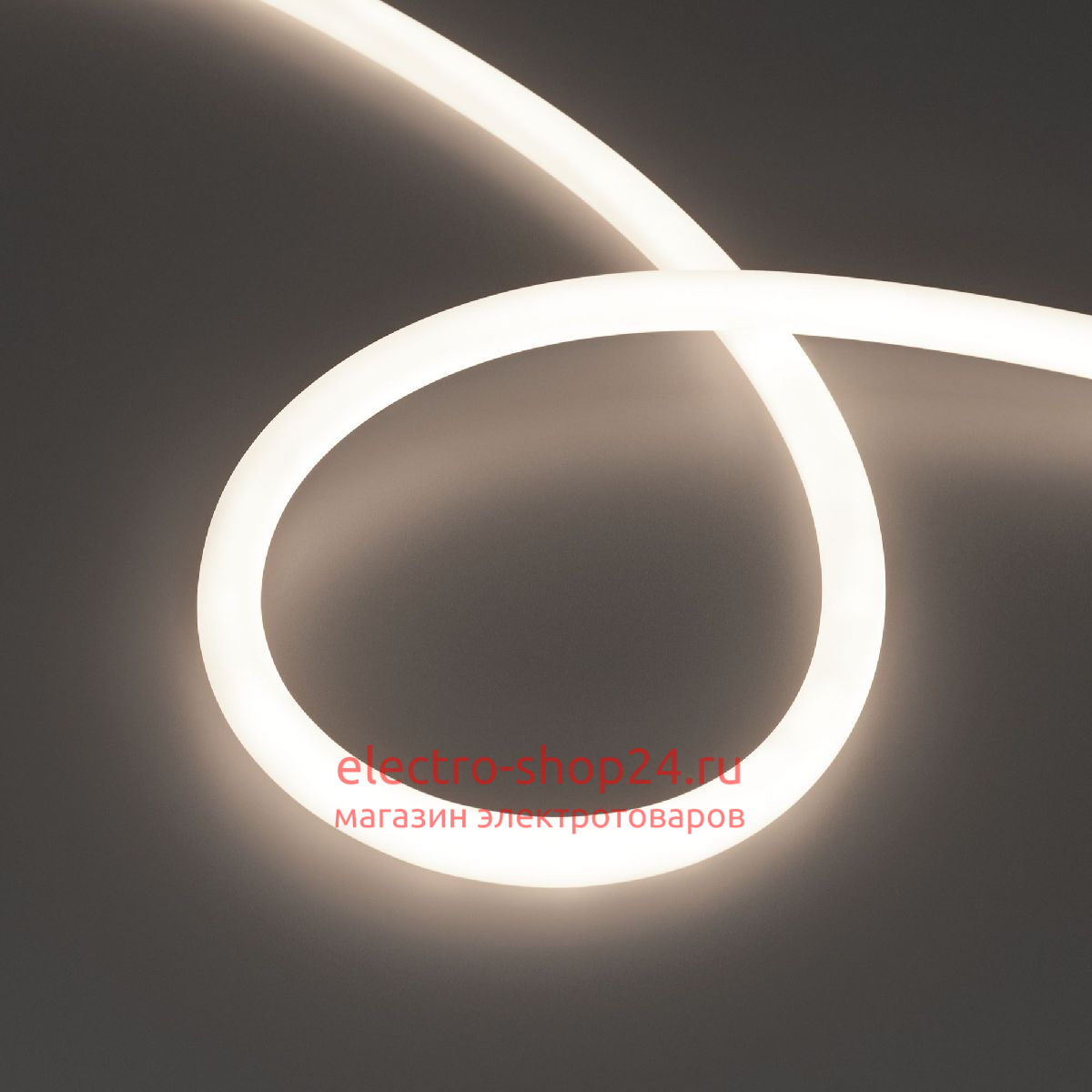 Светодиодная лента герметичная Arlight MOONLIGHT-TOP-S-M560-D13mm 24V Day4300 (13 W/m, IP65, 5m, wire x1, трос) 043817 043817 - магазин электротехники Electroshop