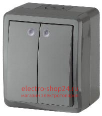 Выключатель двойной с подсветкой IP54 10АХ-250В открытой установки Эра Эксперт серый 11-1405-03 Б0020678 Б0020678 - магазин электротехники Electroshop